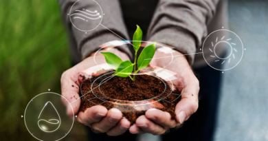 Evento online debate o ESG e o futuro das práticas sustentáveis no Agronegócio