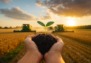 Evento online discute tendências que moldam o futuro sustentável do Agronegócio brasileiro